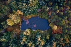 Vannet i Skogen - Dronefoto