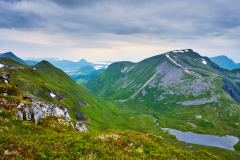 Bjørnen - Hustadvika Kommune