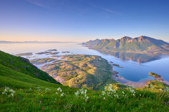 Mjeldberget - Midnattsola