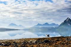 Engeløya - Brunes