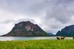 Engeløya - Mjeldberget