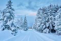 Hauglandet- Vinter