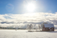 Vinter - Nyjord