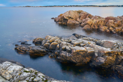 Røssøyvågen - Fjøresteiner Røssøyvågen - Fjøresteiner