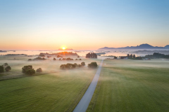 Løvika Drone - Sommermorgen Løvika Drone - Sommermorgen