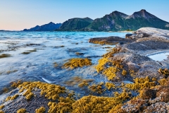 Utsikt mot Lundøya -2